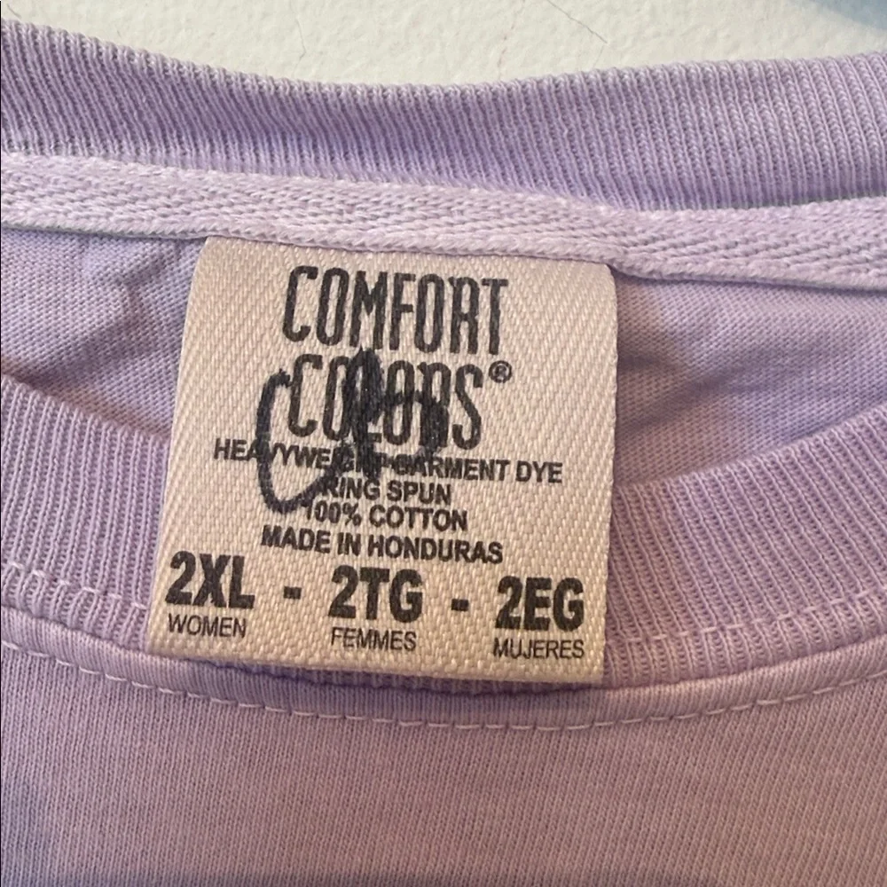 Comfort colors monsters inc tee size 2x - Picture 3 of 4
